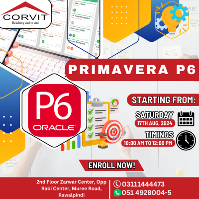 Primavera P6